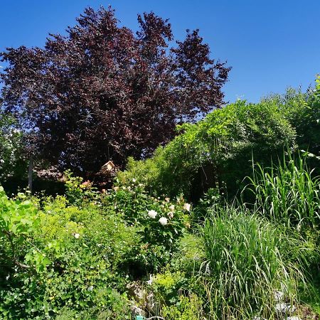 Naehe Spieleland Apartman Vogt Kültér fotó