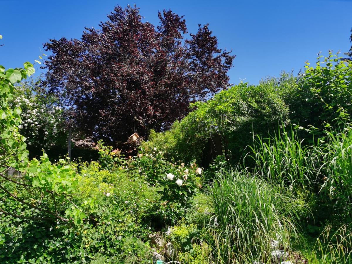 Naehe Spieleland Apartman Vogt Kültér fotó